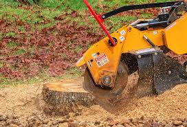 Best Seasonal Cleanup (Spring/Fall)  in Indnola, IA
