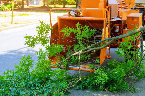 Lawn Grading and Leveling in Indianola, IA