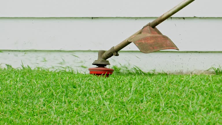 Lawn Maintenance Plans in Indianola, IA
